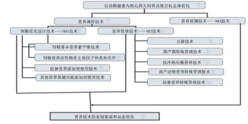 構建動物健康營養體系 學科戰略突破與應用新篇章